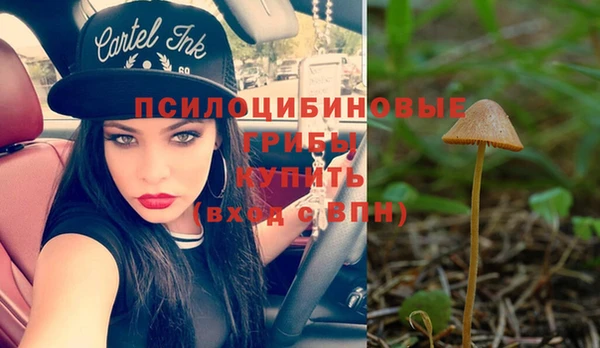 МДПВ Богданович